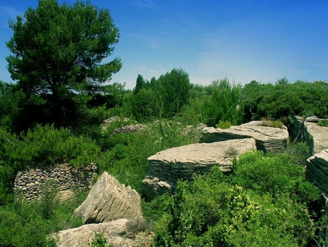 Paysages verts et sauvages.jpg
